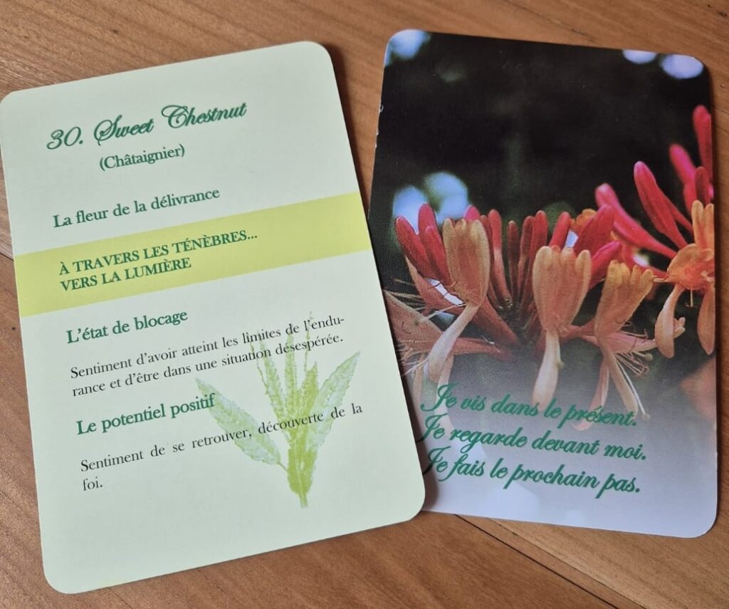 Fleurs de Bach 2