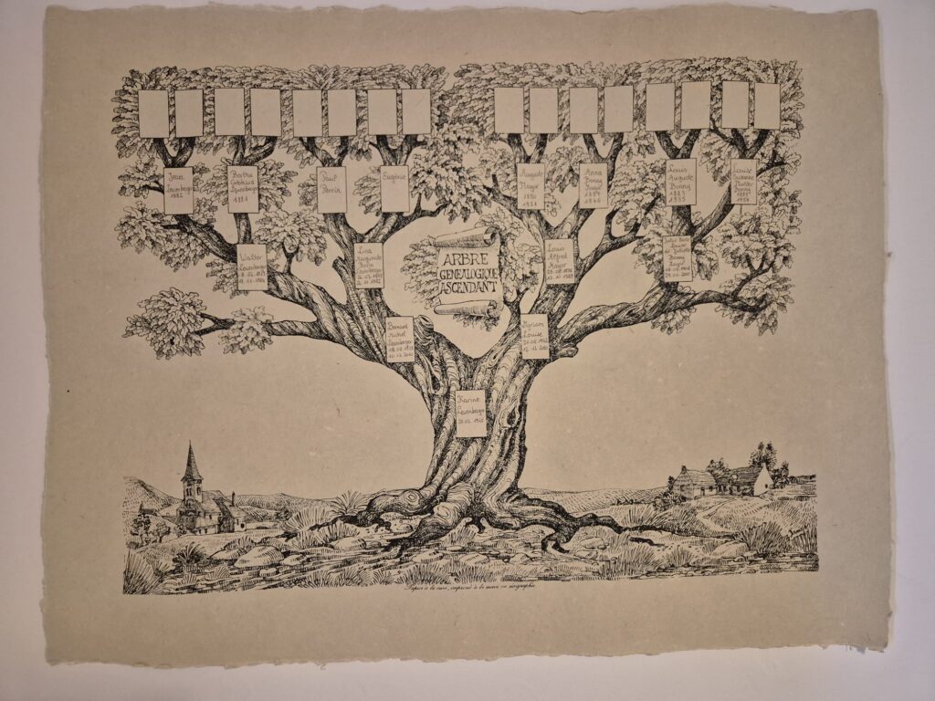Généalogie-soins Arbre